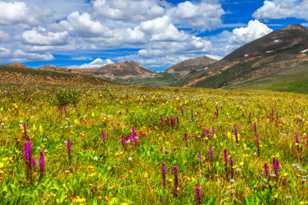 Independence Pass-0430 Independence Pass-0430